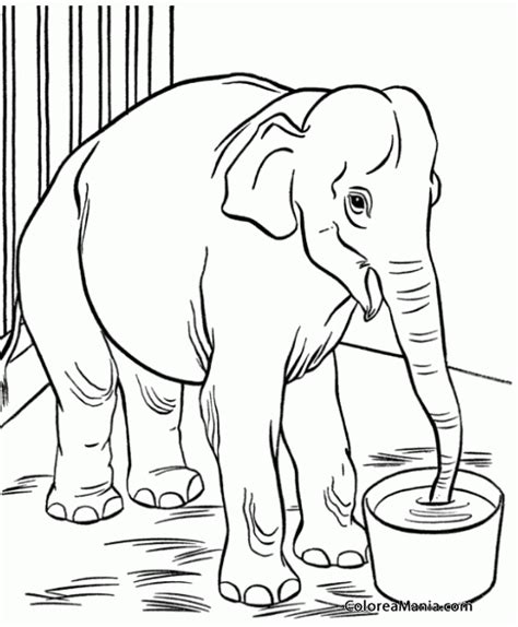 Dibujo Para Colorear De Elefante Sexiz Pix