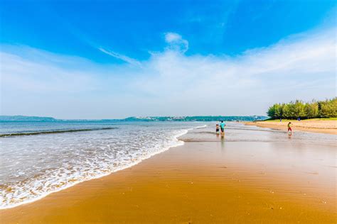 Miramar Beach North Goa How To Reach Best Time And Tips