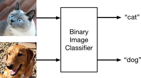 Machine Learning By Tutorials Chapter 2 Getting Started With Image