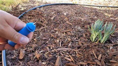 Watch the video to see our first take on a soaker hose system. How To Install A Drip Irrigation - DIY Lawn Guy - YouTube