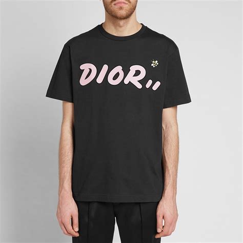 Kaws X Dior Bee Tshirts 予約販売 本 Swimmainjp