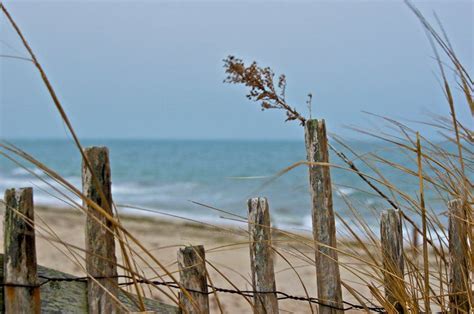 Sand Fence At Craigville Beach Photo By Russell Frayre Cape Cod