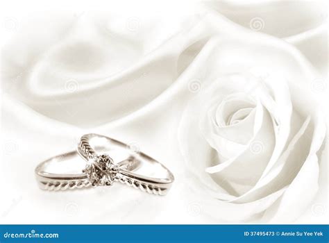 Wedding Rings And White Rose Stock Photos Image 37495473