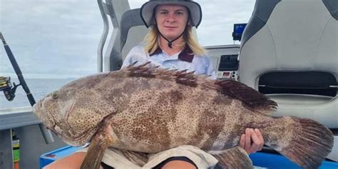 Monster Cod Caught Off Burnett Heads Bundaberg Now