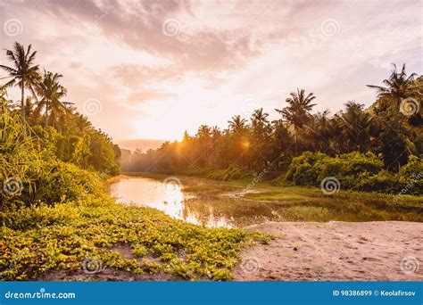 Sunrise In Tropical Island Palms And Water In Nusa Penida Bali Stock