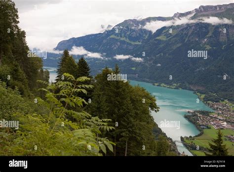 Lake Brienz Brienzersee From Harder Kulm Above Interlaken Kanton