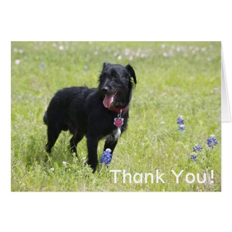 Affordable and search from millions of royalty free images, photos and vectors. Dog Thank You Card | Zazzle