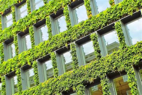 City Of London Green City Briefings Green Roofs And Walls