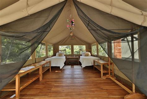 Canopy Camp Accommodations | The Canopy Family | Birdwatching in Panama