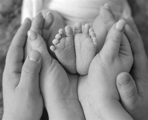 Newborn Baby Feet In Parents Hands Stock Photo Image Of Heart Human