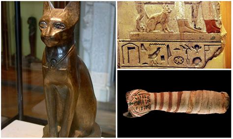 10 Curiosidades Sobre Los Gatos Y El Antiguo Egipto