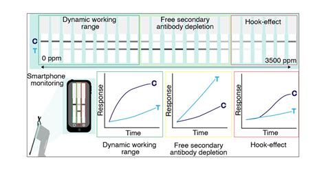 Unraveling The Hook Effect A Comprehensive Study Of High Antigen