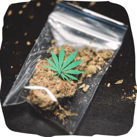 cannabis dispensary near me