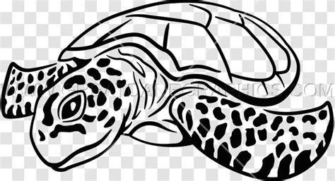 Sea Turtle Drawing Clip Art Organism Turtles