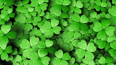Free Printable Four Leaf Clover Wallpaper Hd Wallpaper Quotes