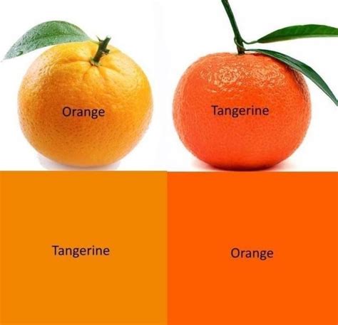 Apparently Tangerines Are Orange And Oranges Are Tangerine R