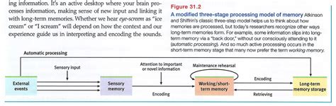The model asserts that human memory has three separate components: AP Psychology | Module 31