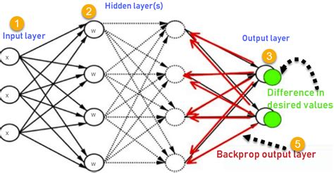 Four Steps Of Back Propagation Algorithm Download Sci