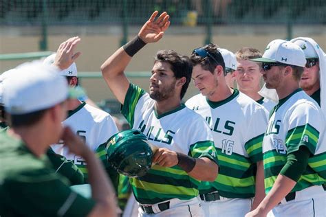 Another Game, Another Rally, Another Win For USF Baseball - The Daily Stampede