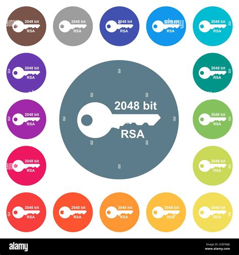 2048 Bit Rsa Encryption Flat White Icons On Round Color Backgrounds 17