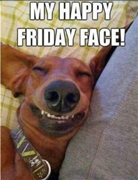 Thank goodness its friday funny images. It's Friday