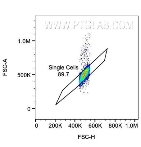 Flow Cytometry Gating For Beginners Proteintech Group