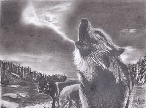 32 Wolf Howling To The Moon Drawing Pieterrioghnach
