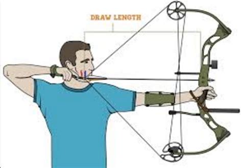 How Do You Know Your Bow Draw Length