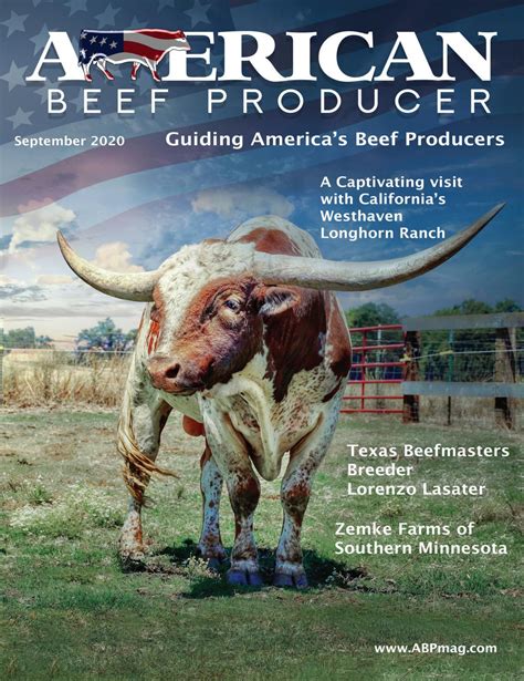 September 2020 American Beef Producer Magazine By American Beef
