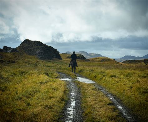 Have you been there, beat it? Schafabtrieb in Island | Guide to Iceland
