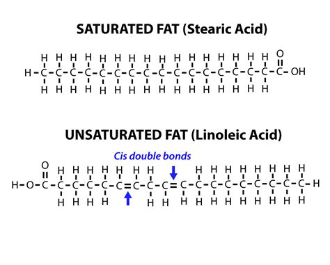 Simple Saturated Fat Molecule