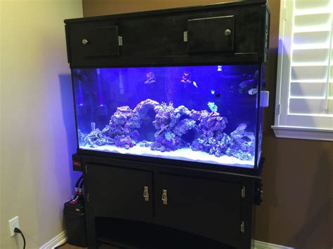 Photo 1 60 Gallon Saltwater Reef Fish Tank