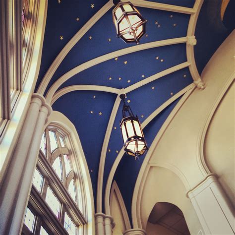 Our Library With Star Constellation Painted On The Ceiling Absolutely