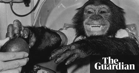 Ham The Astrochimp Hero Or Victim Science The Guardian
