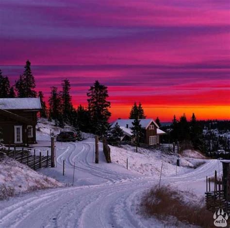 Sjusjøen Norway Winter Scenery Beautiful Landscapes Winter Landscape