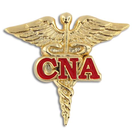 Certified Nursing Assistant Cna Red Caduceus Lapel Pin Ebay