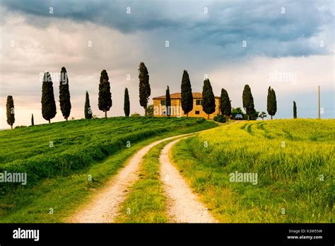 Val Dorcia Tuscany Italy A Lonely Farmhouse With Cypress Trees