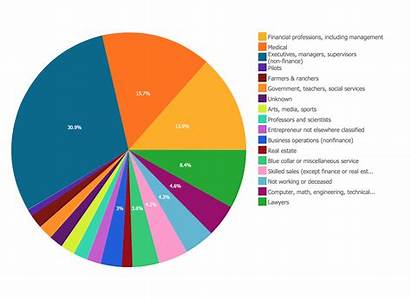 Pie Chart Business Report Charts Examples Diagram