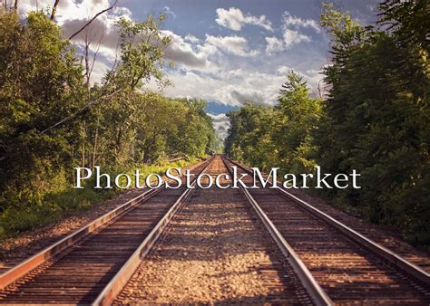 Train Tracks Backdrop Digital Background Railroad Tracks