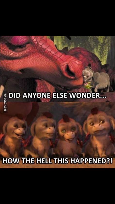 Pin By Ella Lewis On Bruh Donkey And Dragon Shrek Memes Crazy Funny Memes