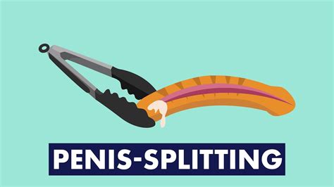 Penis Splitting Sex Go Youtube
