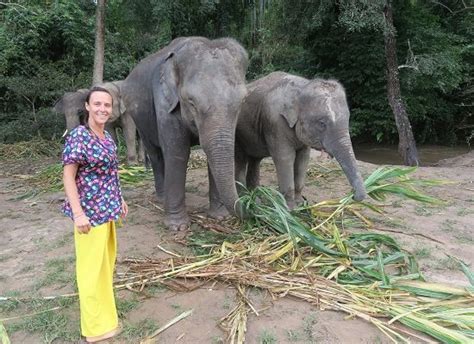 Photos Of Your Day Chiangmai Elephant Home