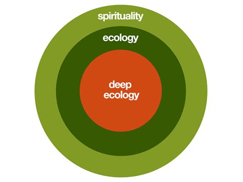 Deep Ecology Diagram Library Deep Ecology Ecology Environmental Ethics