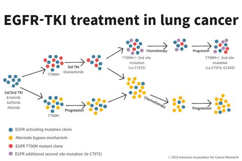 What Is The Most Important Aspect Of Nsclc Precision Medicine