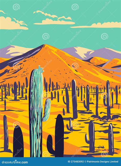 Cacti in Saguaro National Park Pima County Arizona WPA Poster Art Stock