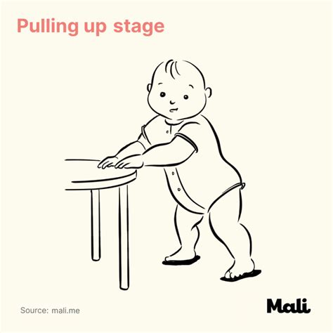 Stages Of Baby Walking Mali Pregnancy Parenting
