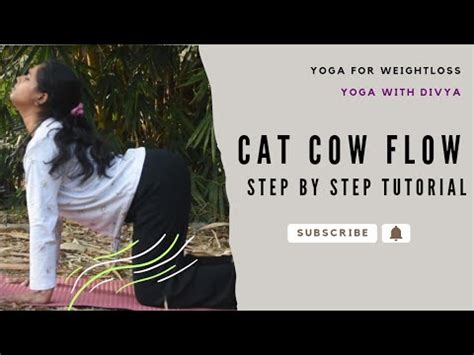 Cat Cow Yoga Pose Yoga With Divya Marjaryasana Step By Step