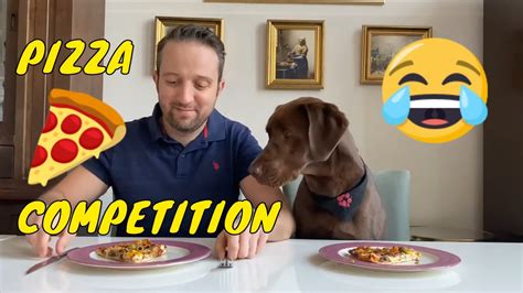 Dog Eats Pizza Pizza Competition With Labrador Retriever Funny Dog