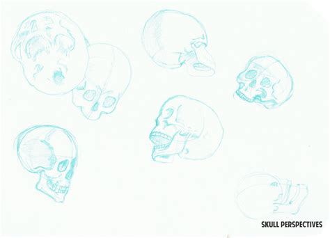 Skull Perspective By Matdm On Deviantart
