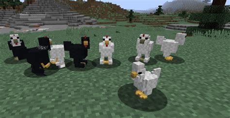 The genes determine the animal's shape, colour, patterning, their size, how much weight they can carry, what colour most animals have a 1 or 2 day pregnancy and once the pregnancy is half done the cow, mooshroom or sheep will develop udders. Genetic Animals Mod for Minecraft 1.14.4/1.13.2/1.12.2 ...